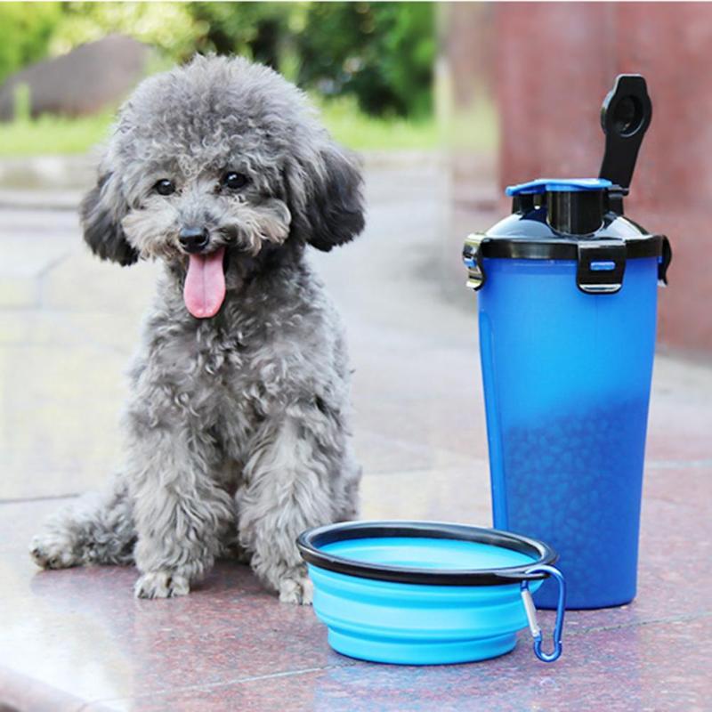 2-in-1 Travel Cup with Food Bowl - PawBuddy™-Blue-Nora Luxe
