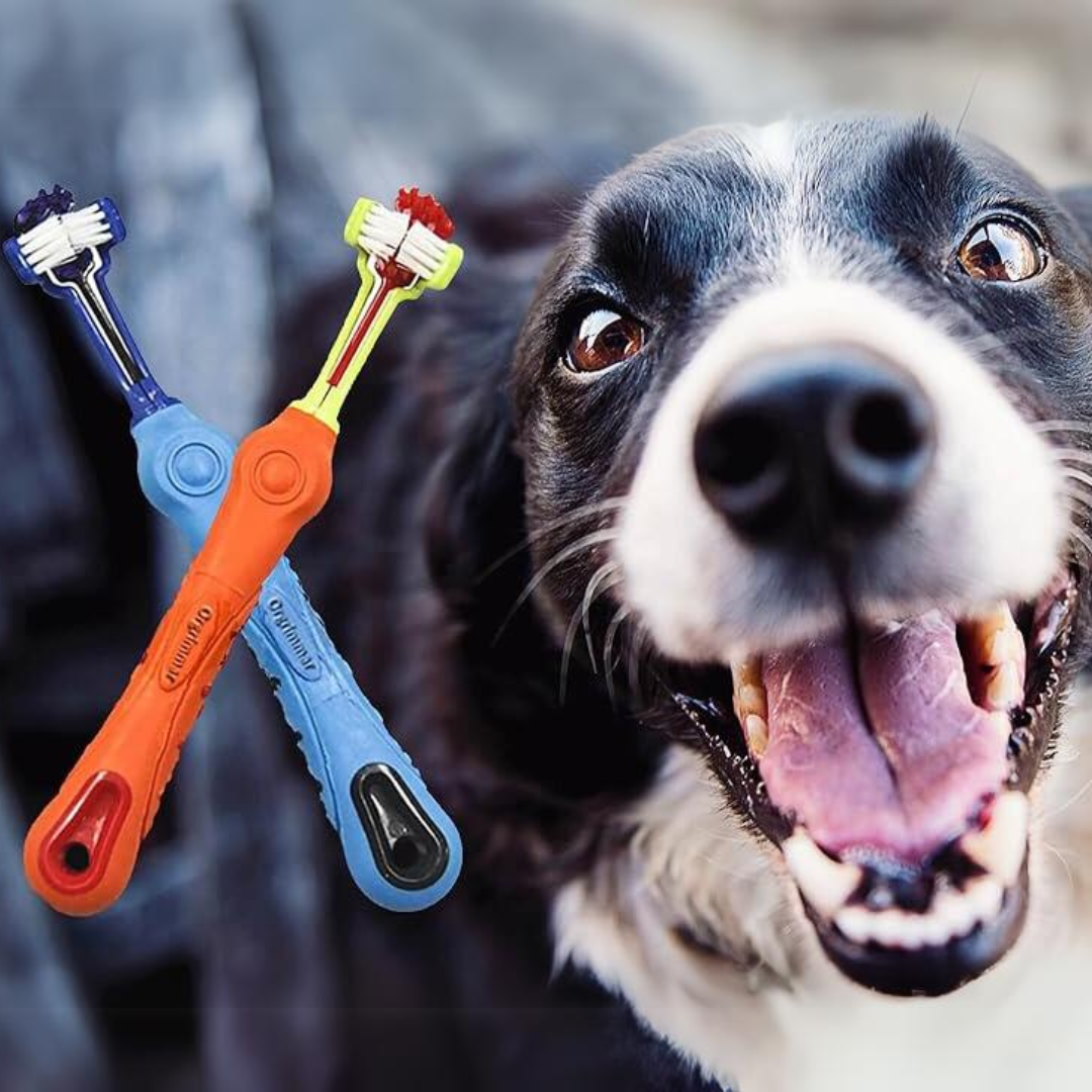 2-Piece Triangular Pet Toothbrush - Tartar Control for Healthy Teeth-Nora Luxe