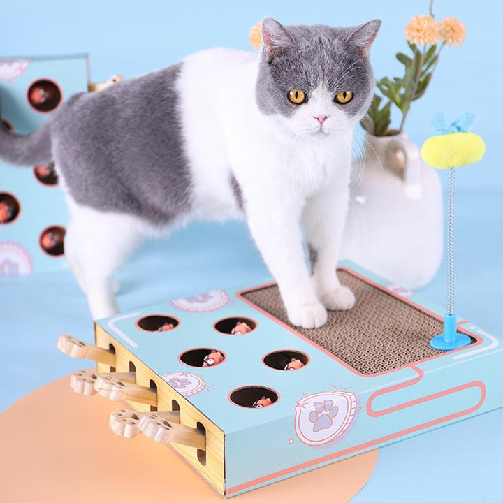 3-in-1 Interactive Cat Toy - WhiskerPlay-Nora Luxe