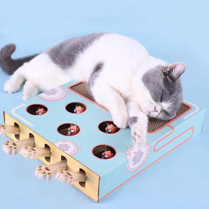 3-in-1 Interactive Cat Toy - WhiskerPlay-Nora Luxe