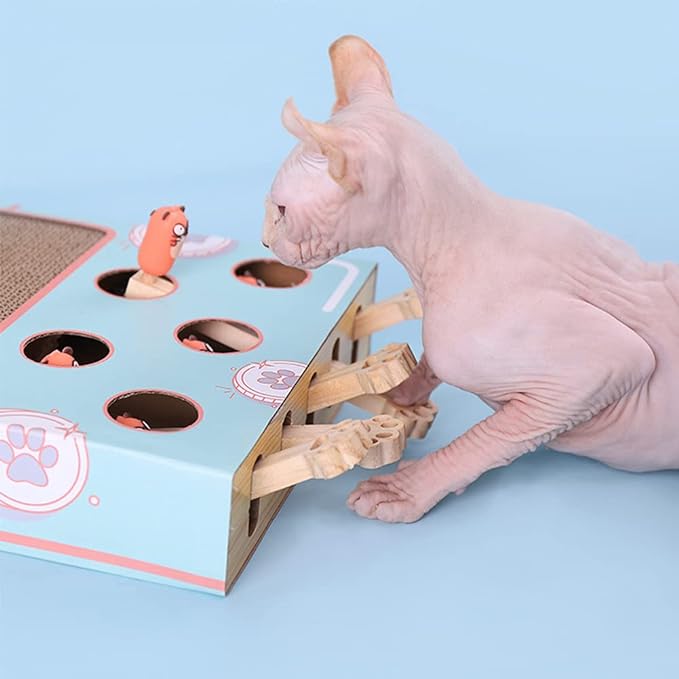 3-in-1 Interactive Cat Toy - WhiskerPlay-Nora Luxe
