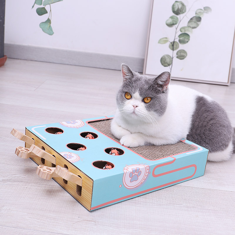 3-in-1 Interactive Cat Toy - WhiskerPlay-Nora Luxe
