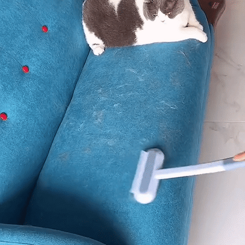 3-in-1 Pet Hair Remover - PetClean Pro-Nora Luxe