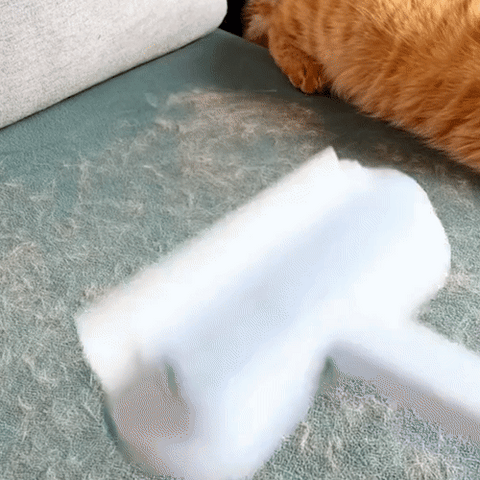 3-in-1 Pet Hair Remover - PetClean Pro-Nora Luxe