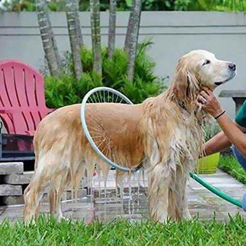 360° Pet Shower Tool - AquaPaws-Nora Luxe