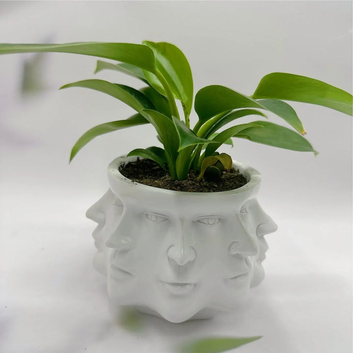 3D Face Pot - FaceBloom-White-Nora Luxe