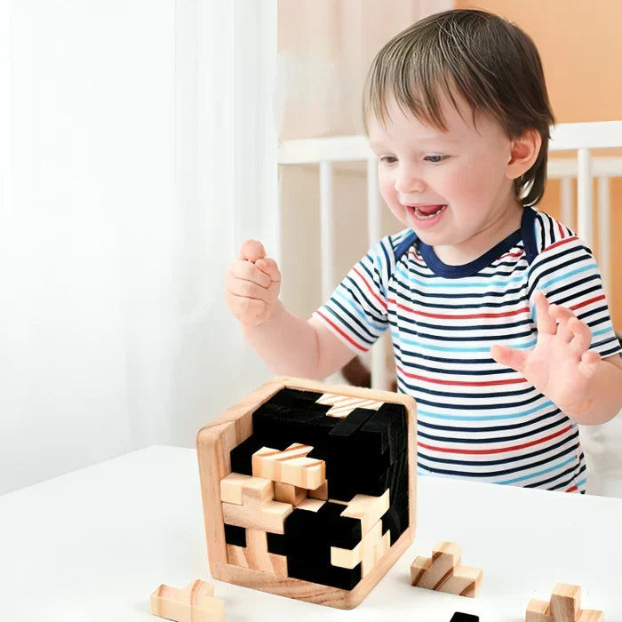3D Wooden Brain Teaser - PuzzleMaster-Nora Luxe