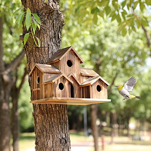 6 Cats Handmade Birdhouse - NestHaven-Nora Luxe