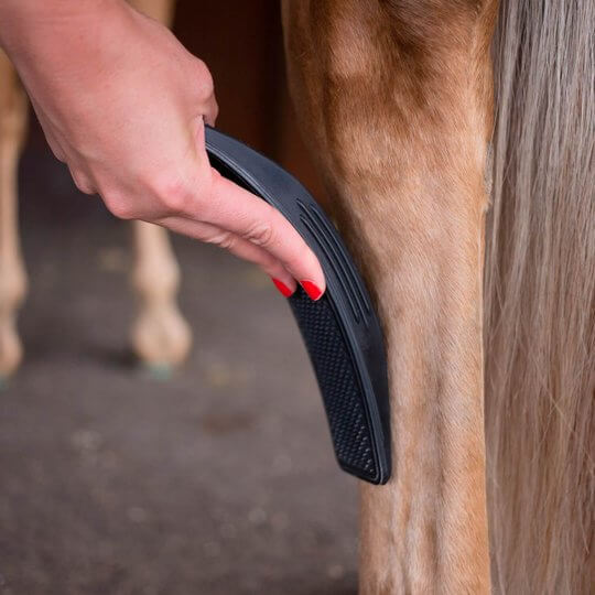 6-In-1 Horse Grooming Brush - EquiGlow-Black-Nora Luxe