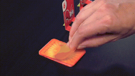 Active Frog Game for Young and Old - FrogFlip-Nora Luxe