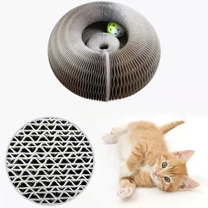 Active Playful Fun for your Cat - PurrFit-Nora Luxe