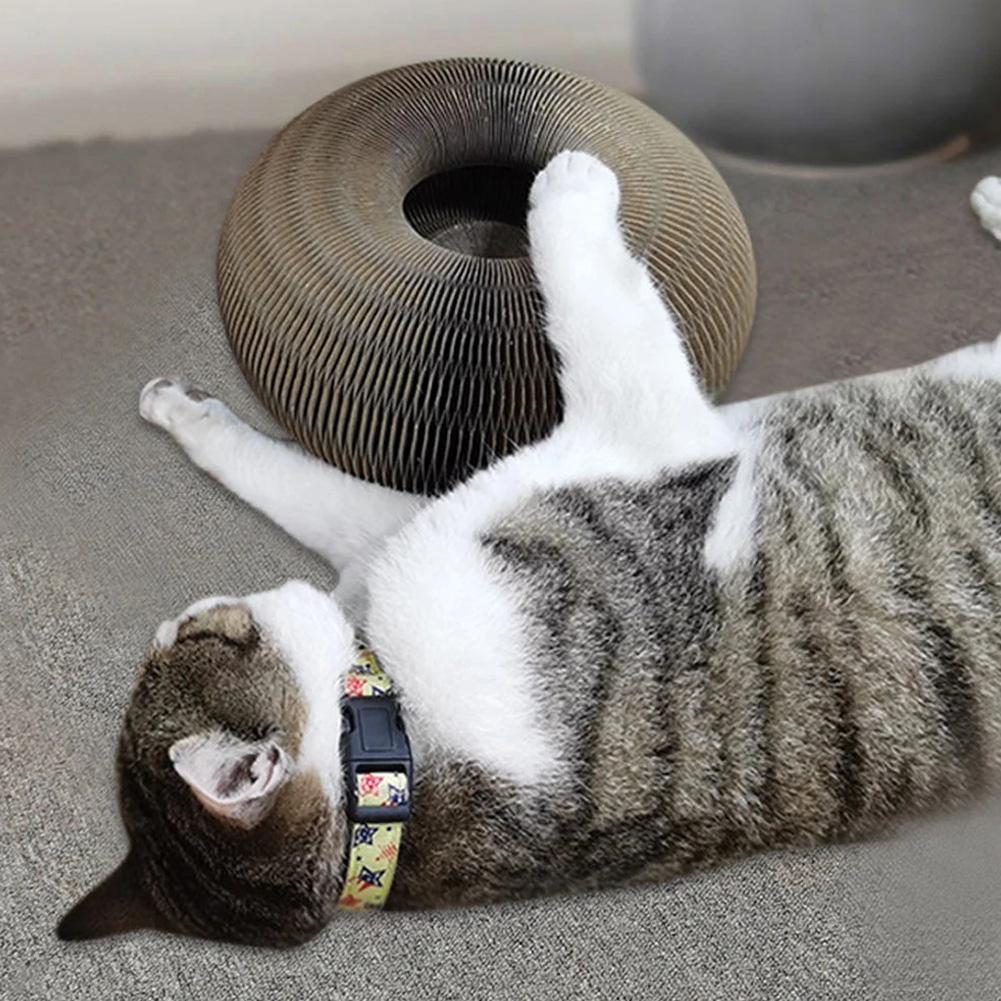 Active Playful Fun for your Cat - PurrFit-Nora Luxe