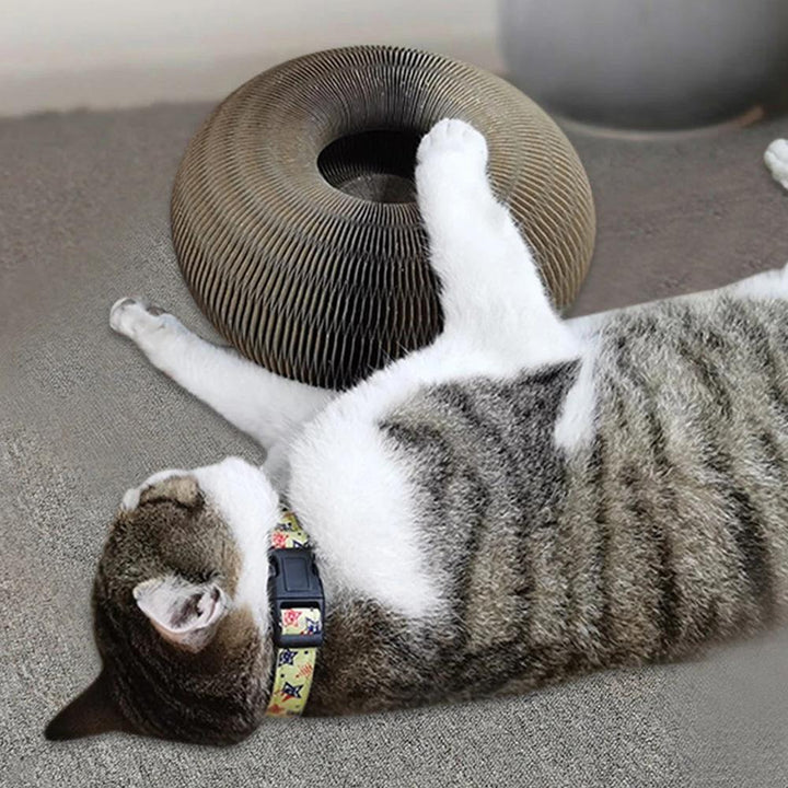 Active Playful Fun for your Cat - PurrFit-Nora Luxe