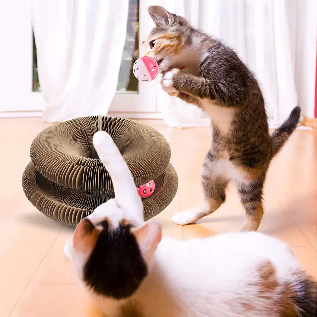 Active Playful Fun for your Cat - PurrFit-Nora Luxe