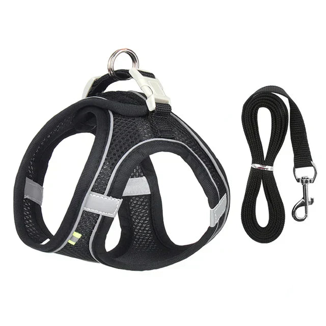Adjustable Cat Harness with Leash – WhiskerWander-Black-XS - 1.1 – 6.6 lbs-Nora Luxe