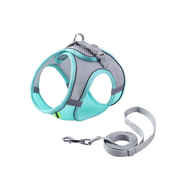 Adjustable Cat Harness with Leash – WhiskerWander-Blue-XS - 1.1 – 6.6 lbs-Nora Luxe