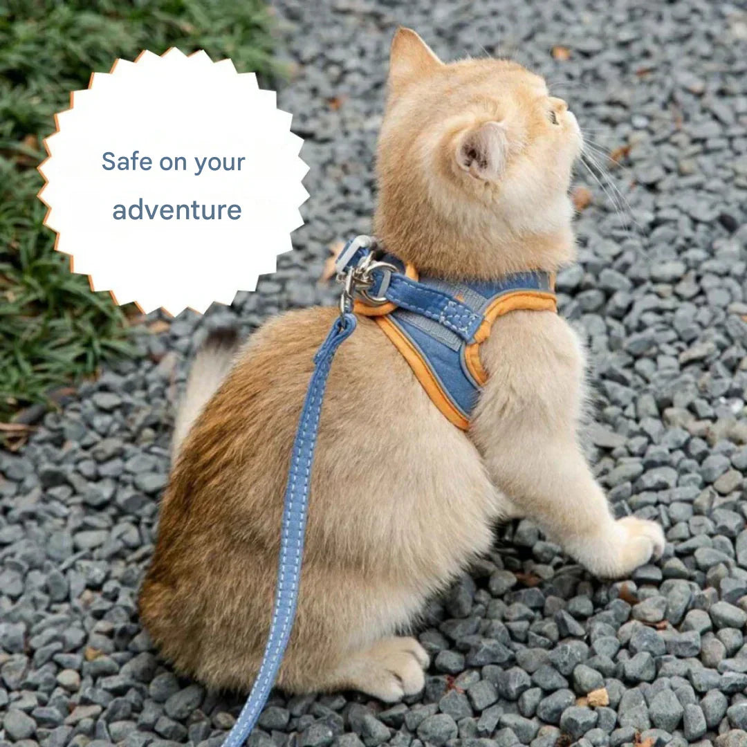 Adjustable Cat Harness with Leash – WhiskerWander-Blue-XS - 1.1 – 6.6 lbs-Nora Luxe