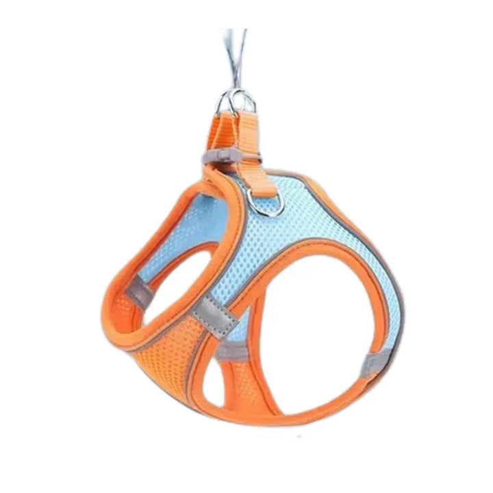 Adjustable Cat Harness with Leash – WhiskerWander-Orange-XS - 1.1 – 6.6 lbs-Nora Luxe
