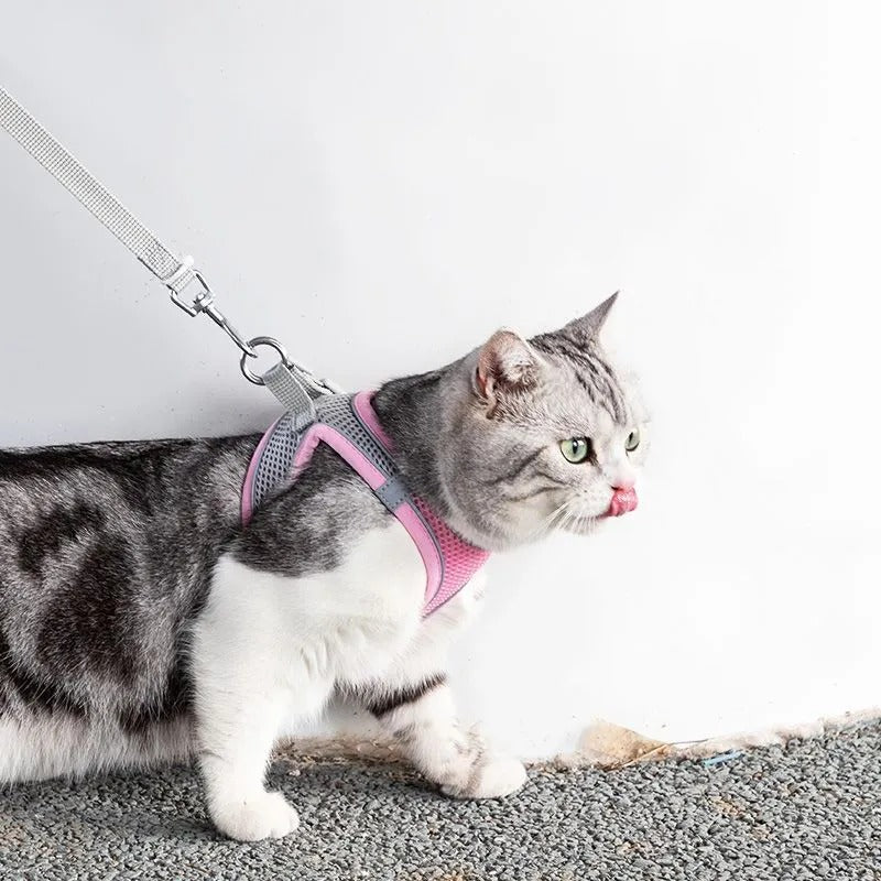 Adjustable Cat Harness with Leash – WhiskerWander-Pink-XS - 1.1 – 6.6 lbs-Nora Luxe
