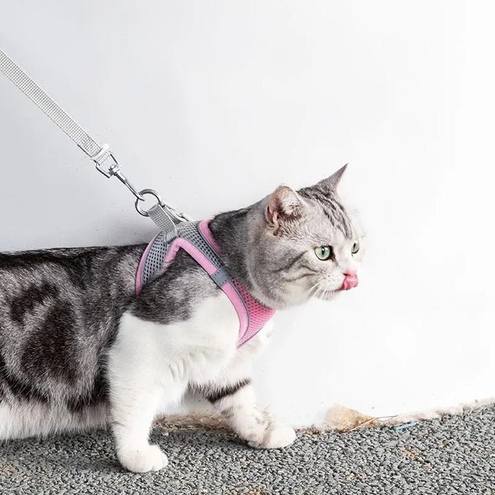 Adjustable Cat Harness with Leash – WhiskerWander-Pink-XS - 1.1 – 6.6 lbs-Nora Luxe
