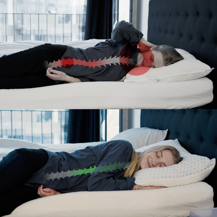 Adjustable Ergonomic Cushion – Sereno-Nora Luxe