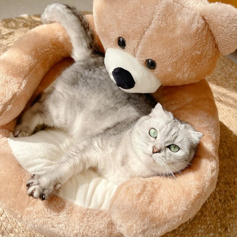 Adjustable Teddy Bear - SnuggleBear-Khaki-S-Nora Luxe