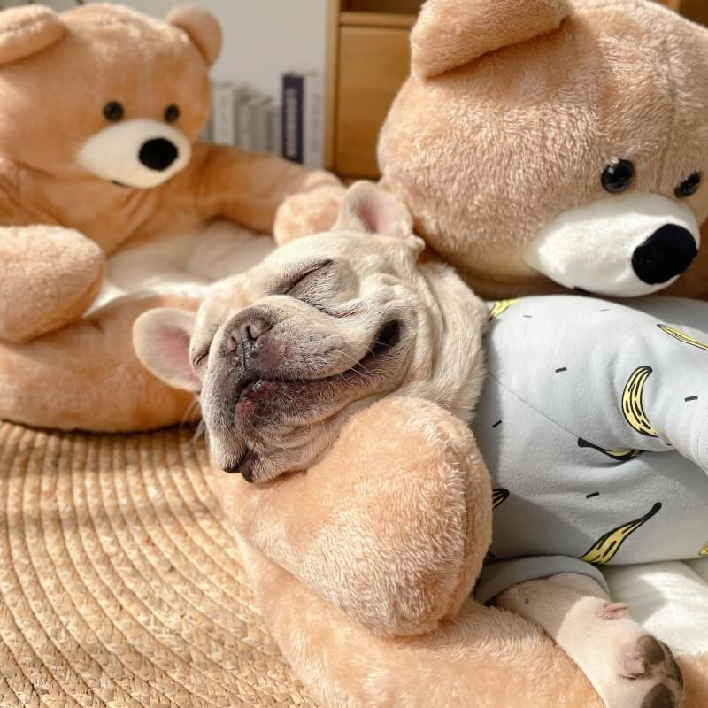 Adjustable Teddy Bear - SnuggleBear-Khaki-S-Nora Luxe