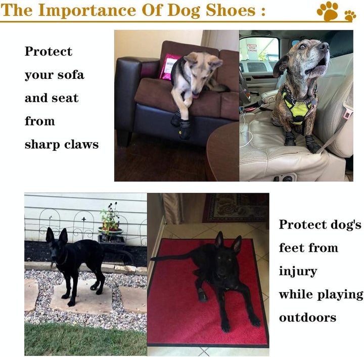 All-Weather Dog Boots for Safe Adventures-Black-1-Nora Luxe