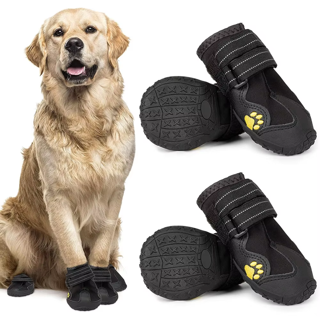 All-Weather Dog Boots for Safe Adventures-Black-1-Nora Luxe