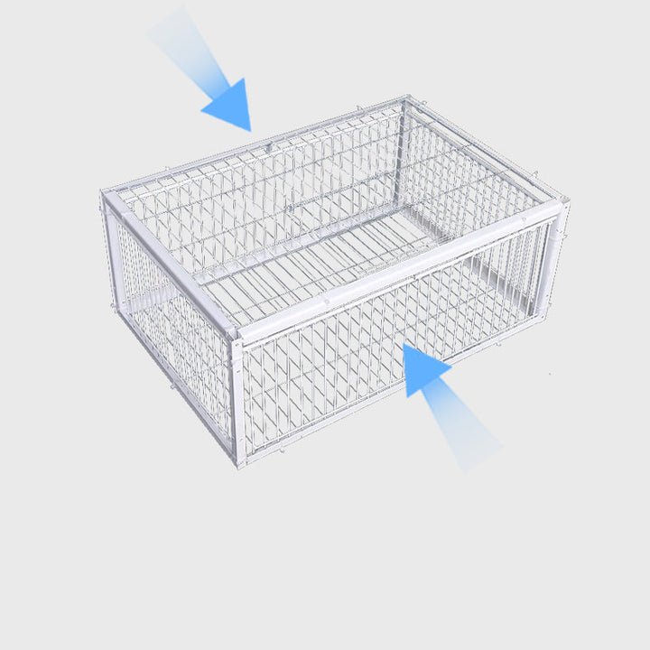 Animal-Friendly Bird Trap with Anti-Backlash Protection – BirdSafe Trap-2 Entrances-Nora Luxe