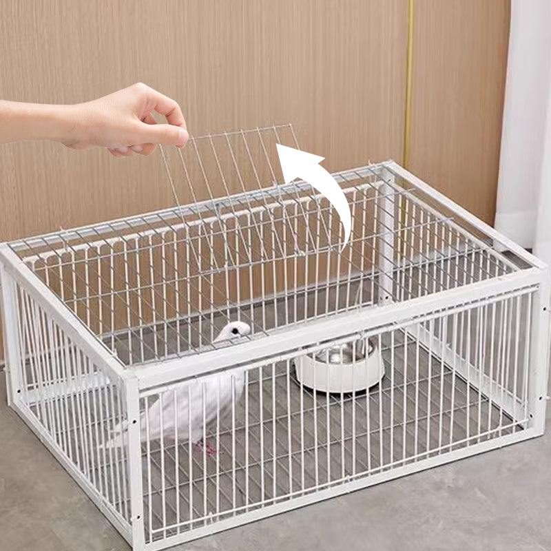 Animal-Friendly Bird Trap with Anti-Backlash Protection – BirdSafe Trap-2 Entrances-Nora Luxe