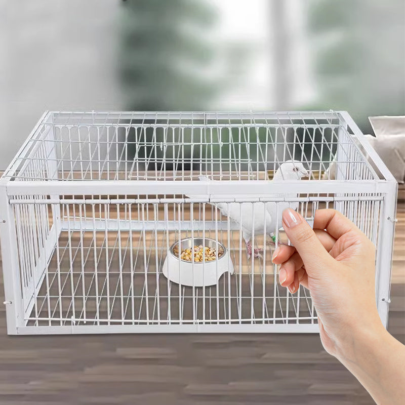 Animal-Friendly Bird Trap with Anti-Backlash Protection – BirdSafe Trap-2 Entrances-Nora Luxe