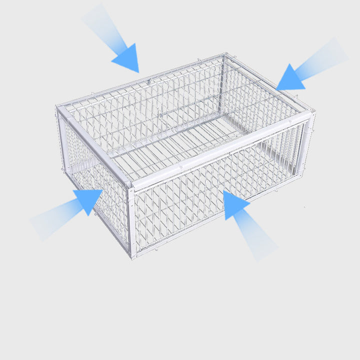 Animal-Friendly Bird Trap with Anti-Backlash Protection – BirdSafe Trap-4 Entrances-Nora Luxe