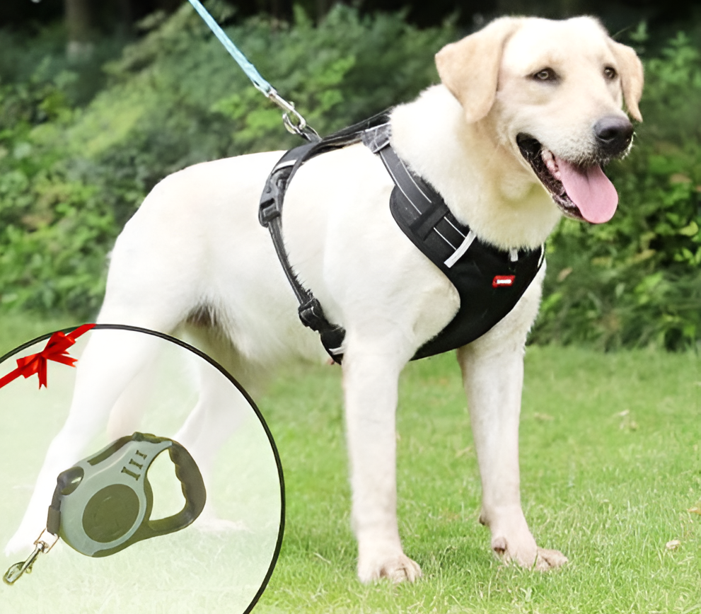 Anti-Trek Dog Harness - FlexiFit-Yellow-XS (5.51 - 11.02 lbs)-Nora Luxe