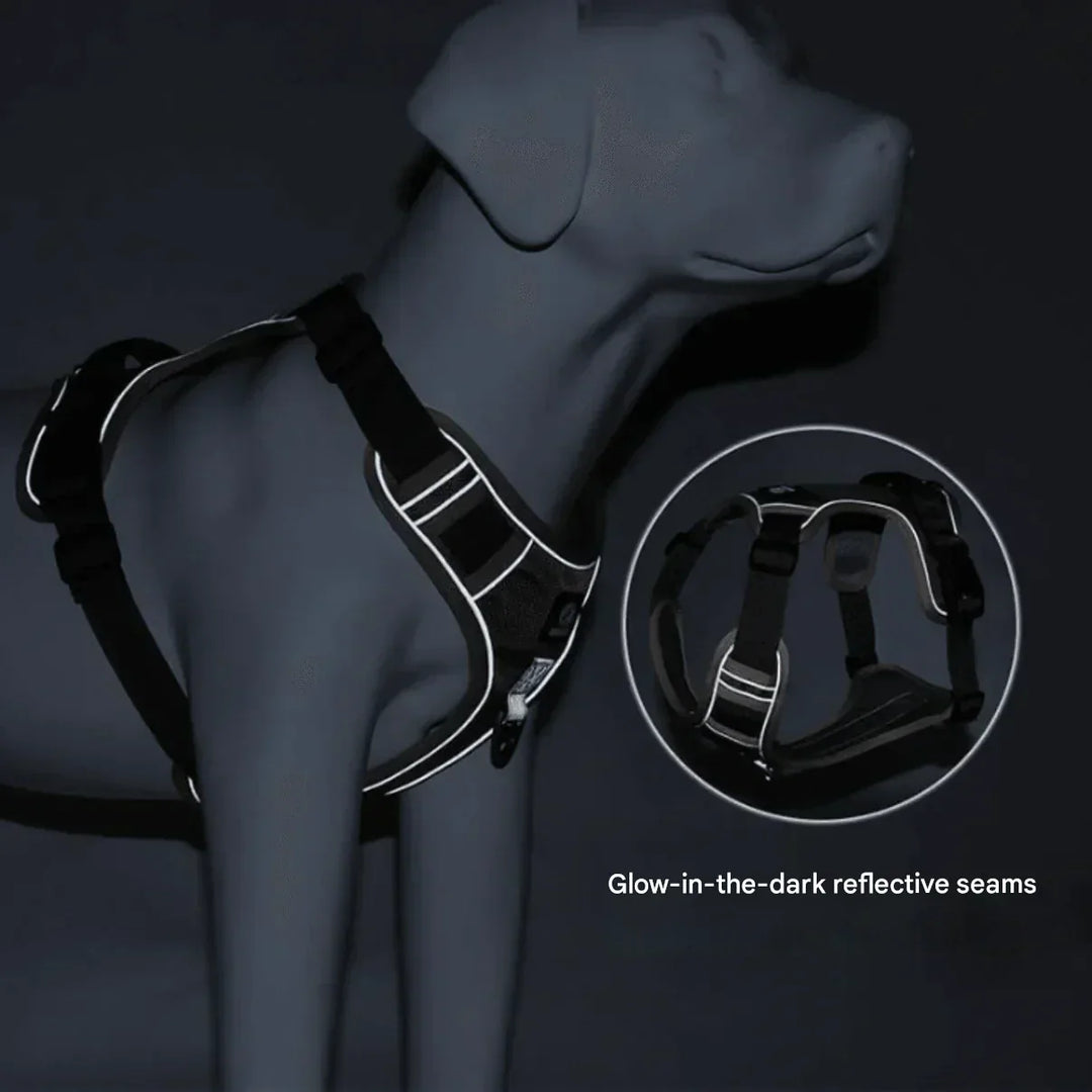 Anti-Trek Dog Harness with Comfort Padding – PullFree-Blue-S-Nora Luxe
