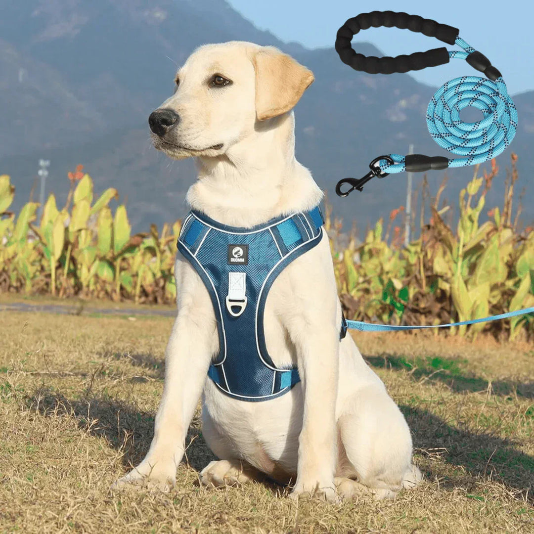 Anti-Trek Dog Harness with Comfort Padding – PullFree-Blue-S-Nora Luxe