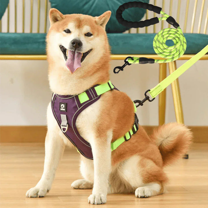 Anti-Trek Dog Harness with Comfort Padding – PullFree-Mauve-S-Nora Luxe