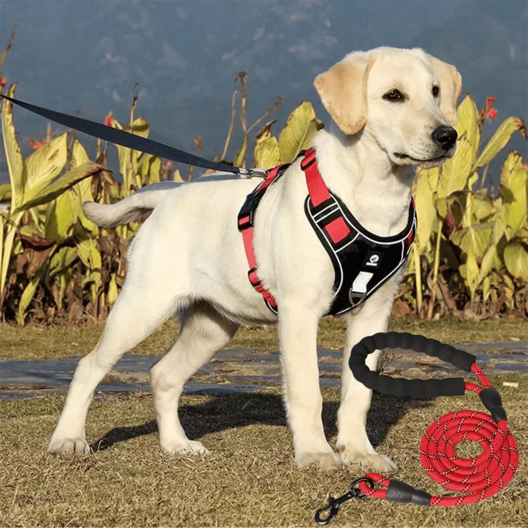 Anti-Trek Dog Harness with Comfort Padding – PullFree-Red-S-Nora Luxe