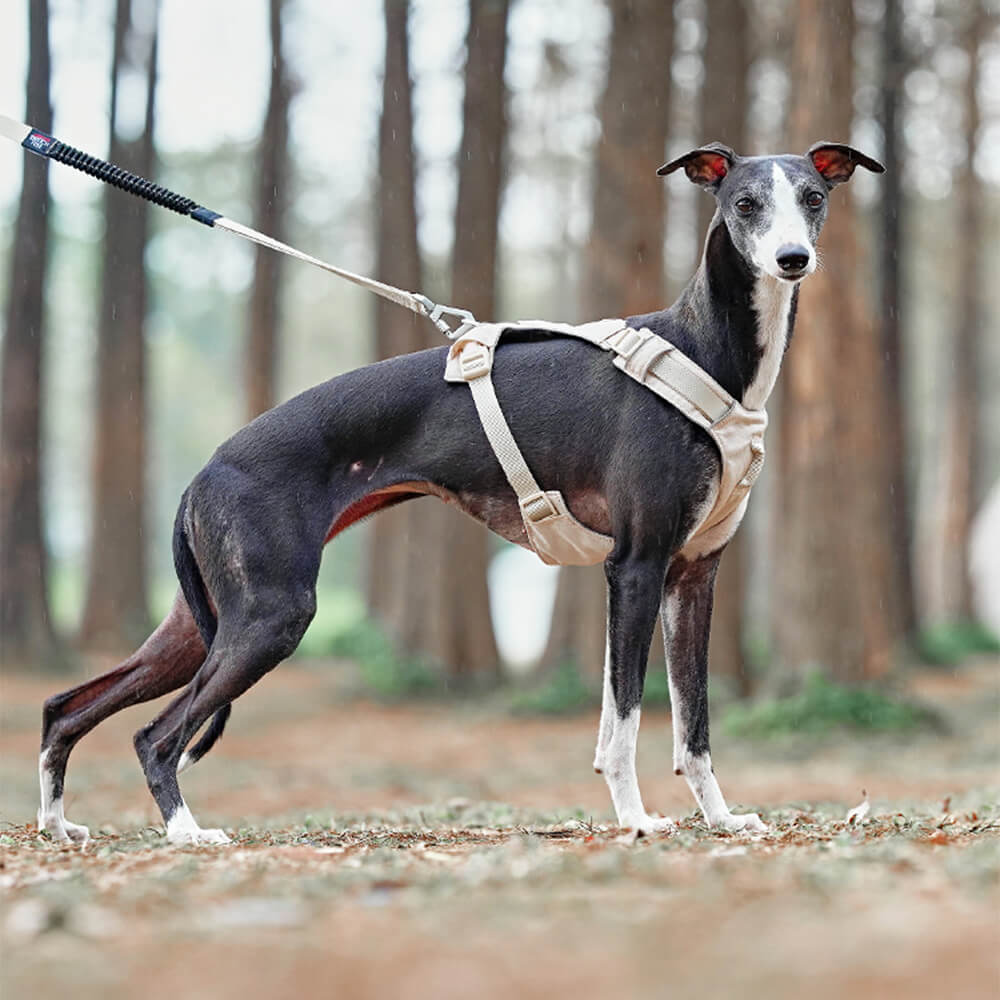 Anti-Trek Dog Harness with Multi-Functional Leash - AquaCool-Harness - Beige-XS-Nora Luxe