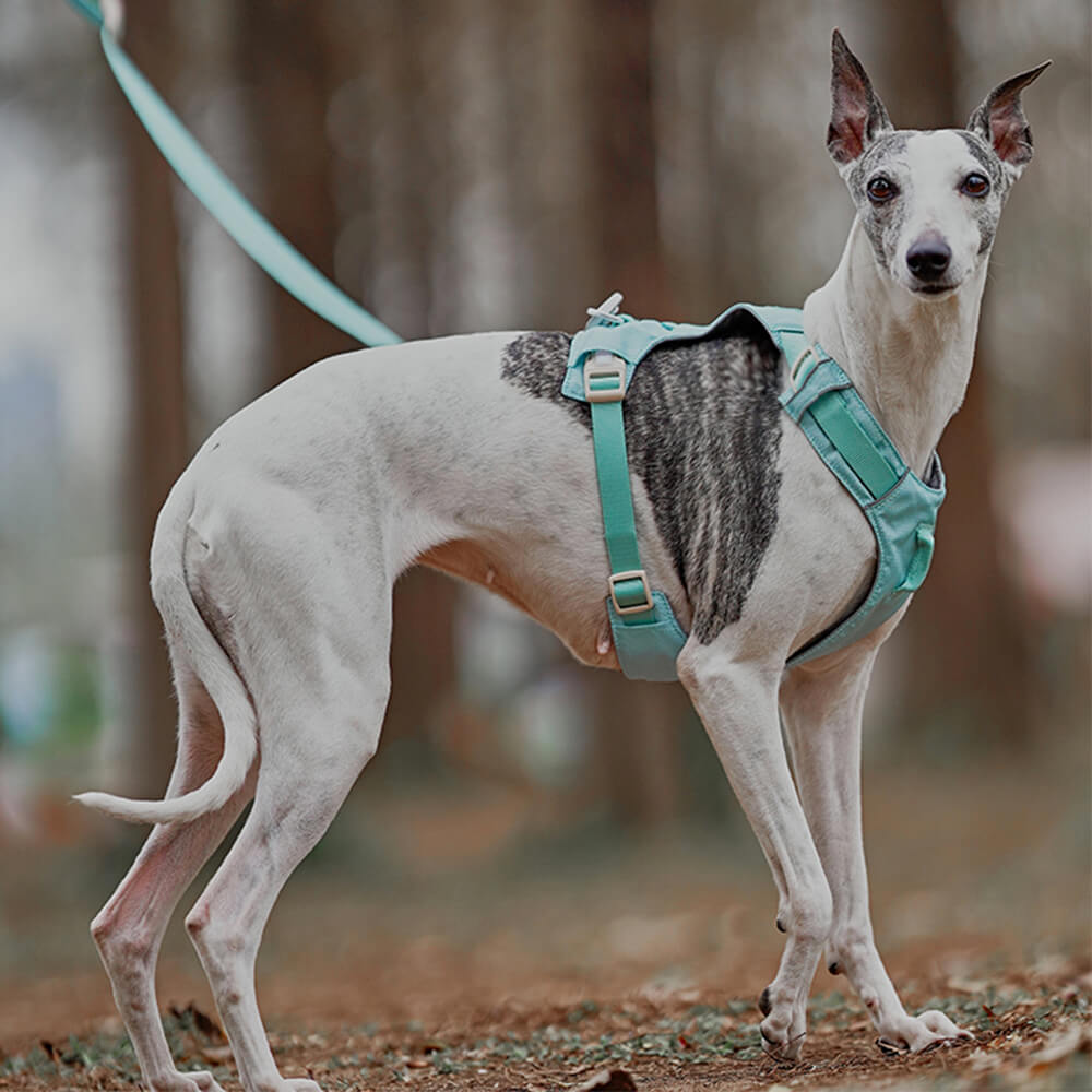 Anti-Trek Dog Harness with Multi-Functional Leash - AquaCool-Harness - Beige-XS-Nora Luxe