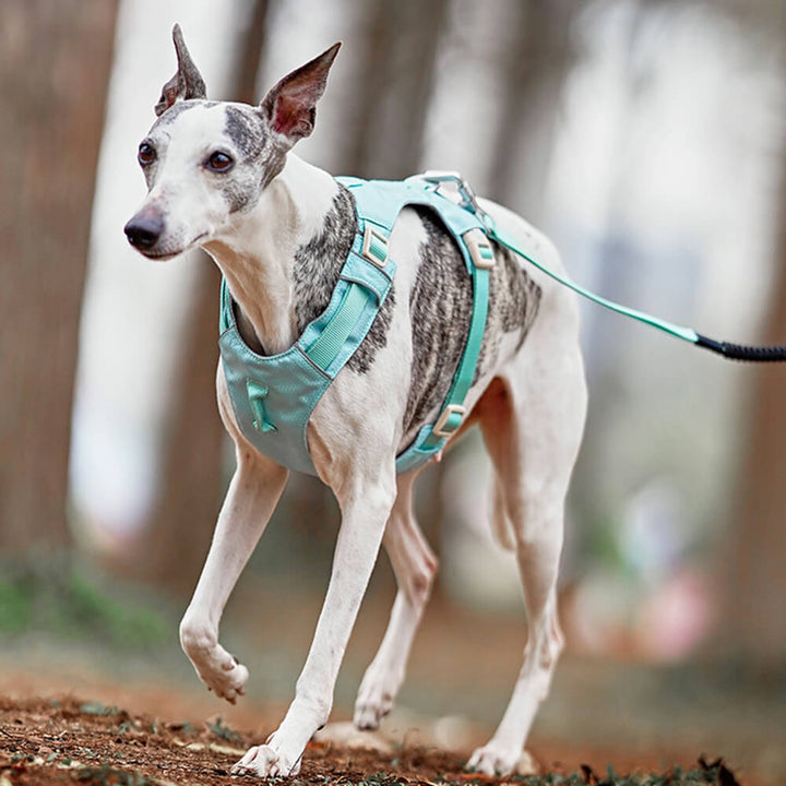 Anti-Trek Dog Harness with Multi-Functional Leash - AquaCool-Harness - Beige-XS-Nora Luxe