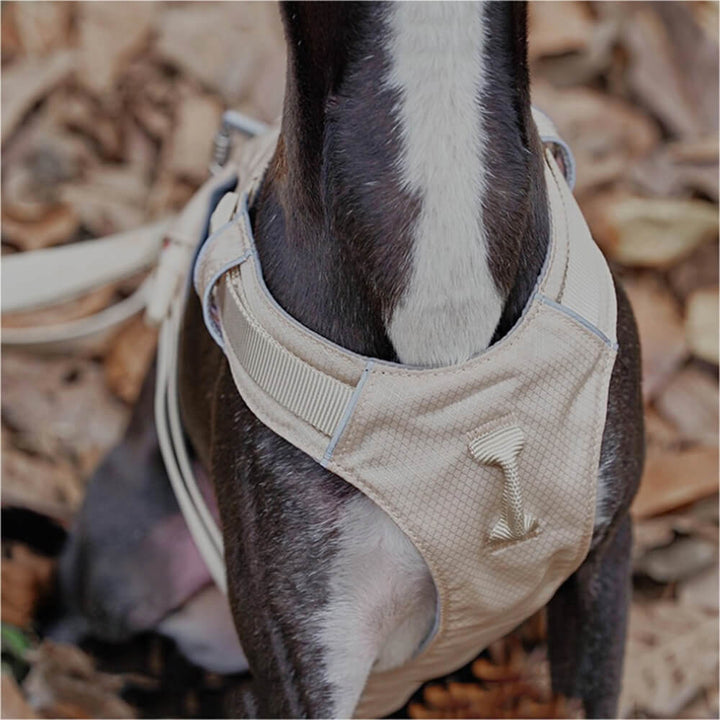 Anti-Trek Dog Harness with Multi-Functional Leash - AquaCool-Harness - Beige-XS-Nora Luxe