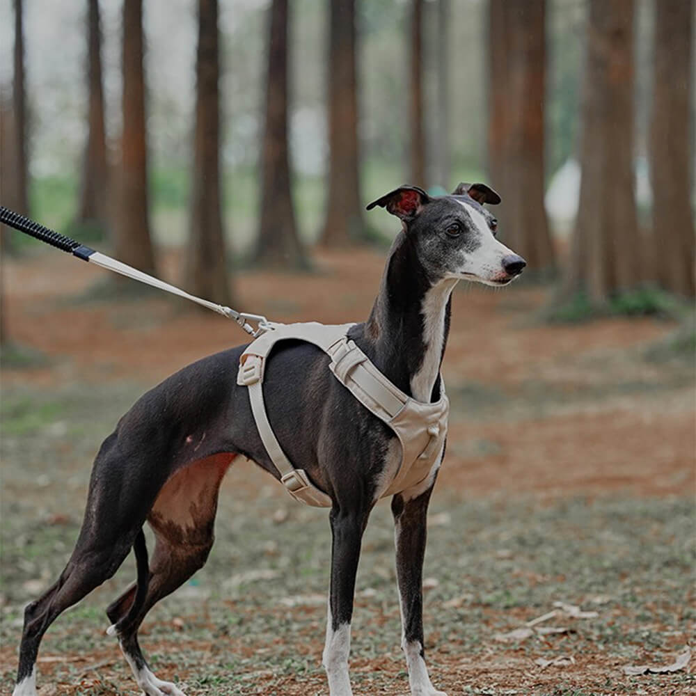 Anti-Trek Dog Harness with Multi-Functional Leash - AquaCool-Harness - Beige-XS-Nora Luxe
