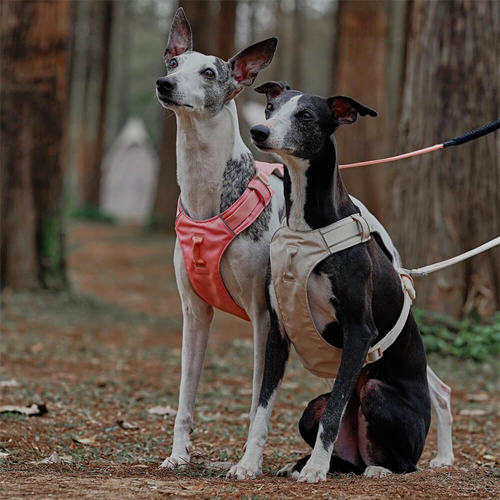 Anti-Trek Dog Harness with Multi-Functional Leash - AquaCool-Harness - Beige-XS-Nora Luxe
