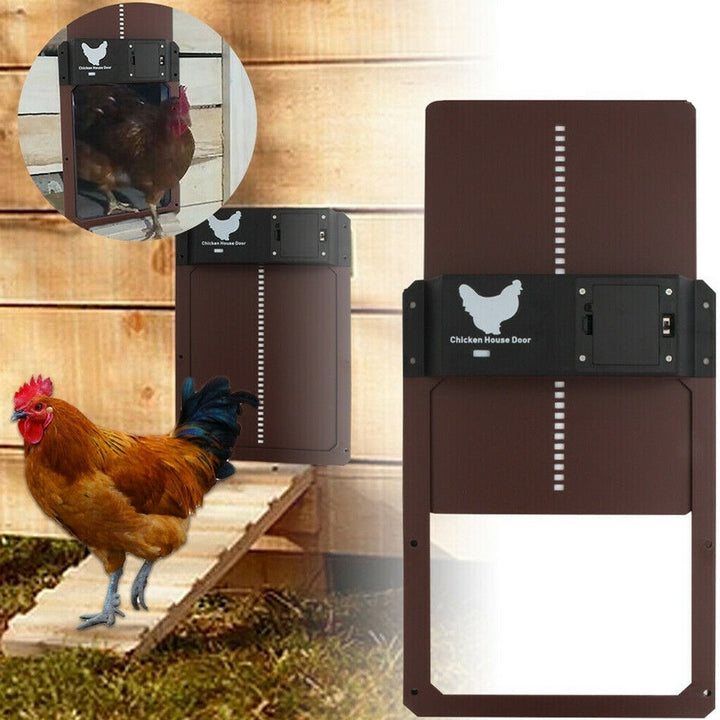 Automatic Chicken Coop Door System - SafeCoop-Brown-Nora Luxe