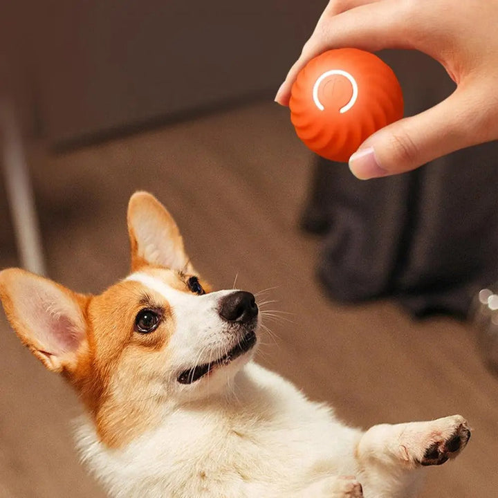 Automatic Interactive Dog Toy - RolliPlay-Blue-Nora Luxe