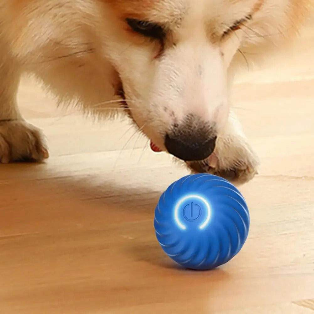 Automatic Interactive Dog Toy - RolliPlay-Blue-Nora Luxe