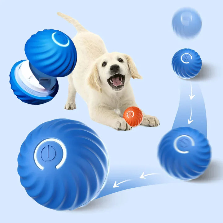 Automatic Interactive Dog Toy - RolliPlay-Blue-Nora Luxe