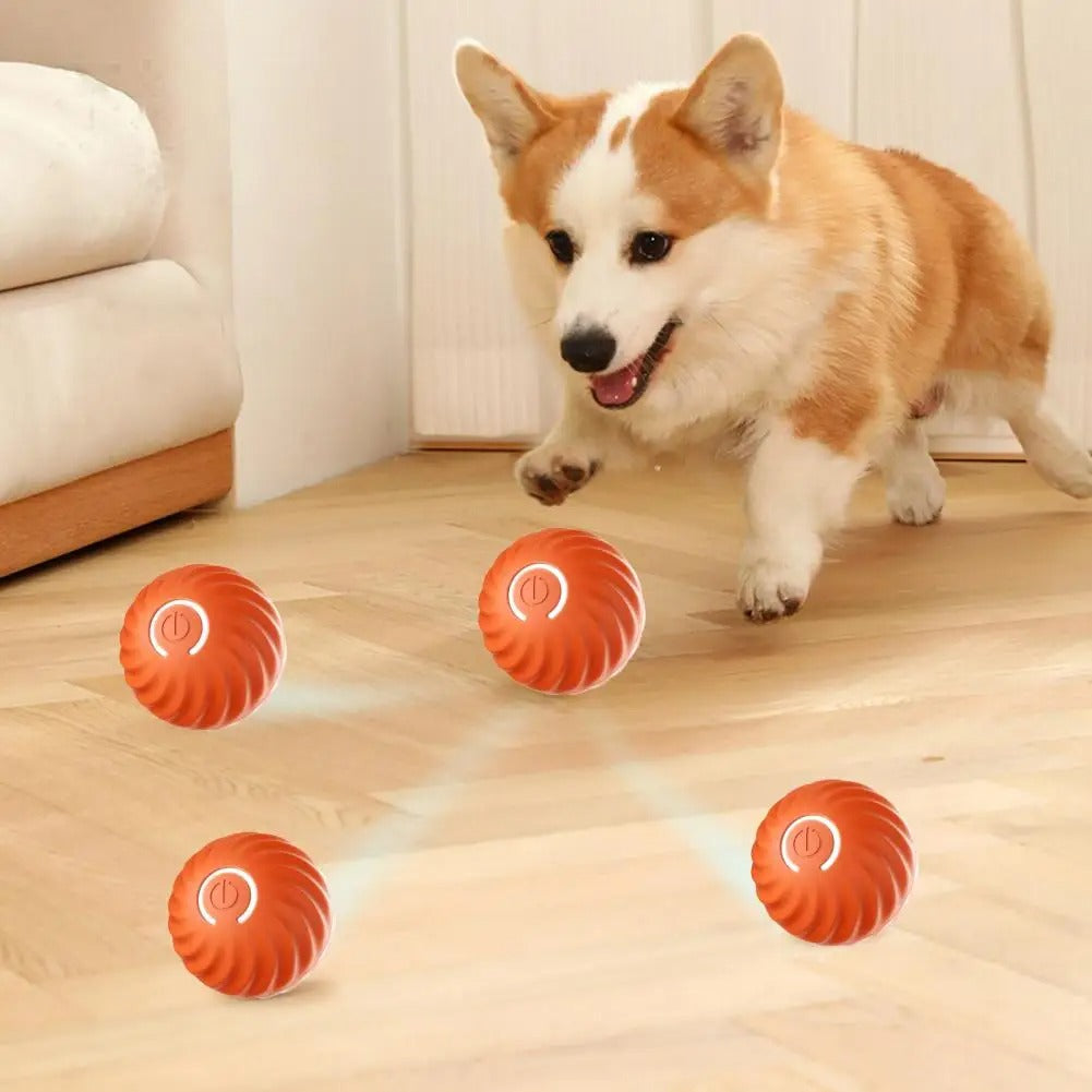 Automatic Interactive Dog Toy - RolliPlay-Blue-Nora Luxe