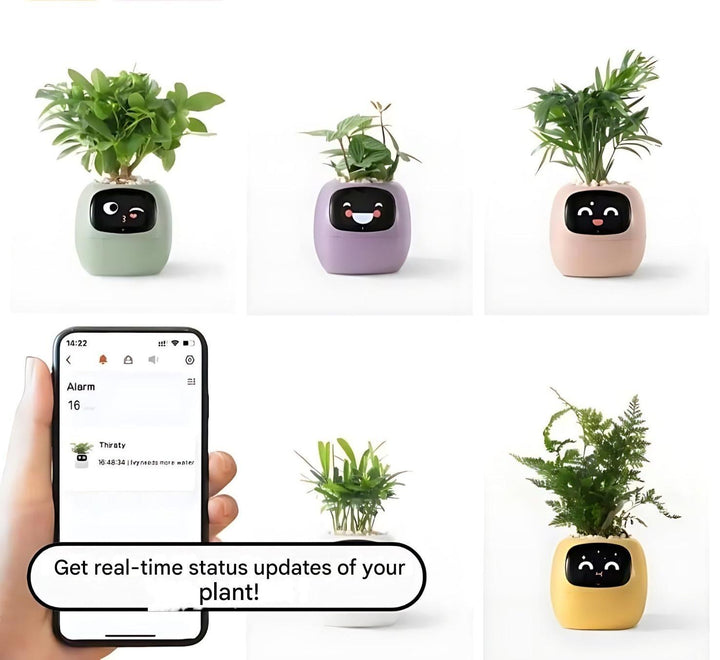 Automatic Smart Flowerpot - GreenBuddy SmartPot-Green-Nora Luxe
